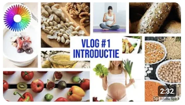 Vlog 1: introductie